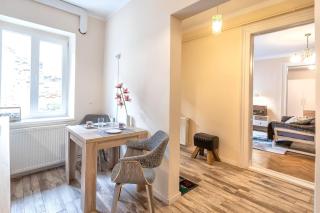 StylishCozy Apartment - Braşov - 1