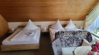 Pension Gerlach - Seiffen - 6