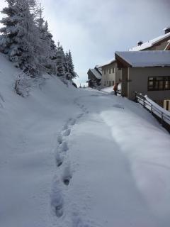 LivGood Appartements Gerlitzen - 1