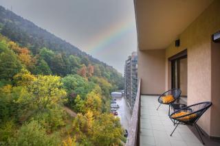 Tampa Gardens Apartments - Adults Only - Brasov - 6