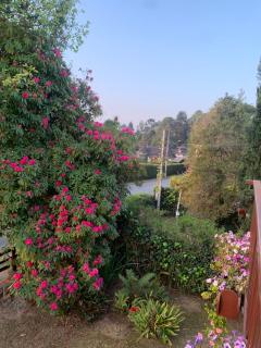 Linda Casa! Aconchegante e com ótima localização - 9