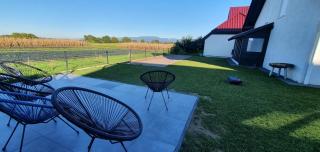 top Haus 160m2 Europapark,Strasburg,Schwarzwald - Appenweier - 2