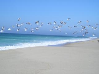Torreira Vacation Homes - Sea House - Torreira - 8