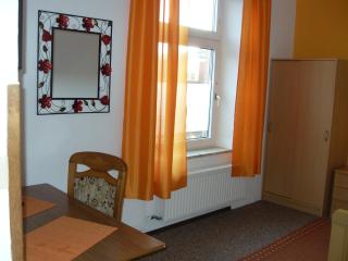 Hotel Grüner Kranz - Rendsburg - 8