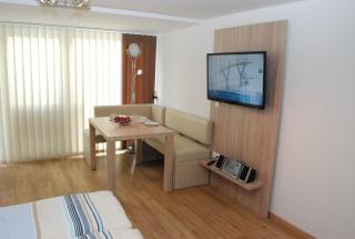 Alpine Appart - 3