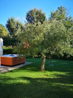 Montenovo Country House - Ostra Vetere - 4