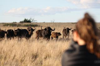 Grootvallei Guest Farm - Main lodge - Boshof - 2
