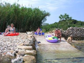 Apartment in Nevidane with sea view, balcony, air conditioning, WiFi 4663-3 - Murter - 7