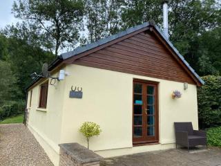 Ty Twt - complete holiday home - Llandysul - 5