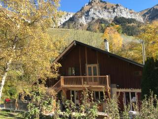 Magnifique T3 entre lac et montagne près d'Annecy - 1
