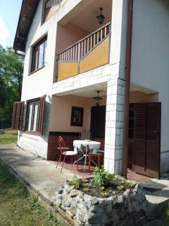 Vila Borova Tara - Kremna - 3