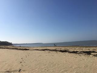 Chambre d’hôtes Saint Just Luzac - 6