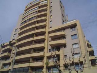Delpino Propiedades Portico 914 - Viña del Mar - 0