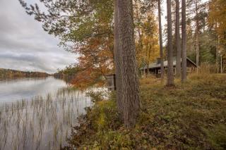 Yksityinen järvenrantakohde ryhmille sauna, luonto ja oma rauha - 9