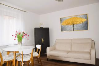 Golden Apartament Legionów - 9
