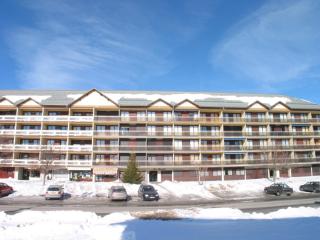 Studio lumineux 4 pers, balcon sud, proche pistes et commerces, casier à ski, cuisine équipée - FR-1-417-42 - 7