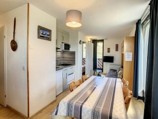 Appartement lumineux 2 pièces avec balcons et animaux admis à La Toussuire - FR-1-417-123 - La Toussuire - 9