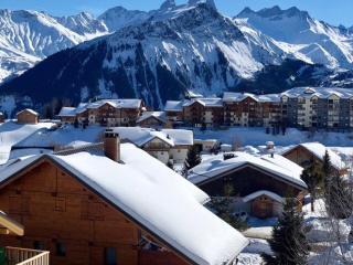 Appartement spacieux 2 chambres, skis aux pieds, parking, WIFI – La Toussuire - FR-1-417-146 - 1