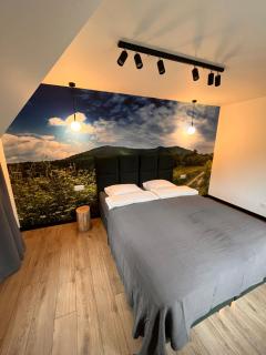 Apartamenty Drewno i Kamień - Wetlina - 4