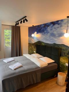 Apartamenty Drewno i Kamień - 9