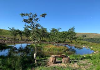 Red Squirrel Cottage - Hawes - 8