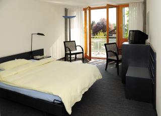 Hotel Artos Interlaken - Interlaken - 7