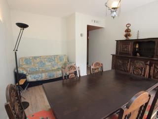 Appartement rénové 6 pers, balcon sud, face aux pistes, plein centre de La Toussuire. - FR-1-416-105 - 6