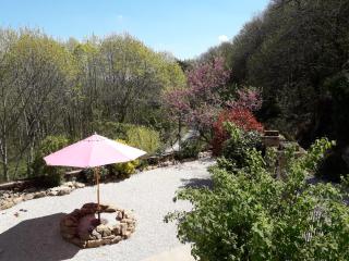 DUC MANOIR Chambres d'hôtes - 2