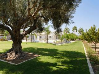 Villa Periklis - Adelianos Kampos - 1