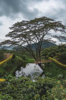 The Coffee Club Campestre - 3