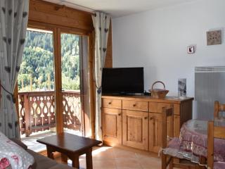 Appartement 3 pièces avec terrasse, parking et accès pistes – Pralognan - FR-1-464-190 - Pralognan-la-Vanoise - 8