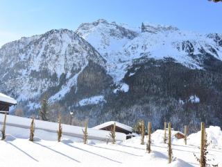 Appartement 3 pièces avec terrasse, parking et accès pistes – Pralognan - FR-1-464-190 - Pralognan-la-Vanoise - 2
