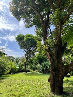 Coconut Room - Entre mer et forêt avec piscine - Camp de Rémire - 1