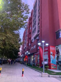 Daily Apartment Vila L - Tirana - 5