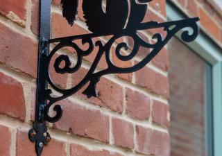 Ardley Cottage Squirrel - Great Waldingfield - 2