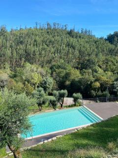 Quinta do ribeiro - Arcos de Valdevez - 0
