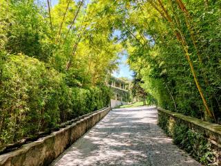 Rancho La Joya - Xochitepec - 5