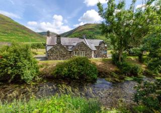 Cedris - Abergynolwyn - 9