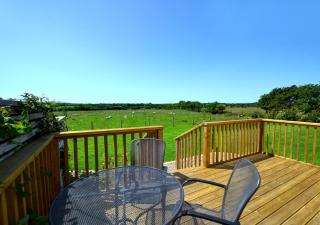 Lavender Cottage - Haverfordwest - 9