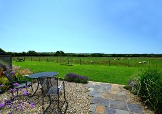 Holly Cottage - Haverfordwest - 0