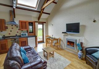 Holly Cottage - Haverfordwest - 5