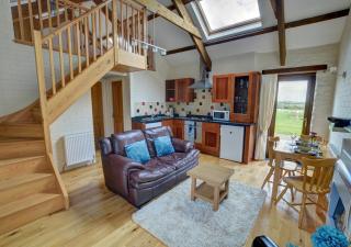Holly Cottage - Haverfordwest - 6