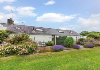 Primrose Cottage - Haverfordwest - 1