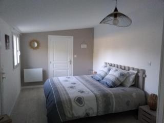 Chambre d hotes la Barrière - Channay-sur-Lathan - 3