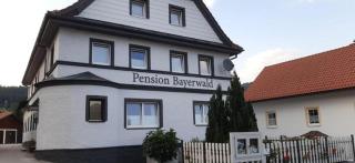 Pension Bayerwald mit Ferienwohnung - 8