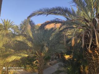 Bar suite - En Gedi - 2