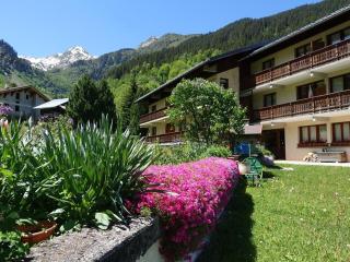 Appartement 46m², 2 étoiles, 6 pers, au pied des pistes, Planay, proche Arêches - FR-1-342-153 - Beaufort - 9
