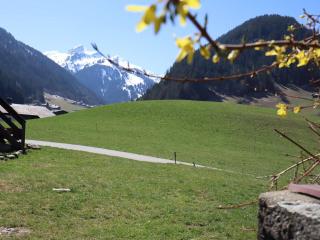Chalet calme et récent à Arêches-Beaufort, 8 pers, exposé sud, terrasse ensoleillée, proche du village - FR-1-342-208 - 8