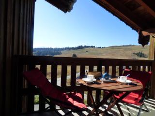 Studio familial aux Saisies, balcon sud, proche centre et pistes, 6 pers. - FR-1-594-91 - Hauteluce - 3