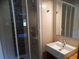 Superbe T3 avec piscine chauffée - Les Saisies - 8 pers, balcon et salle de fitness - FR-1-594-71 - 2